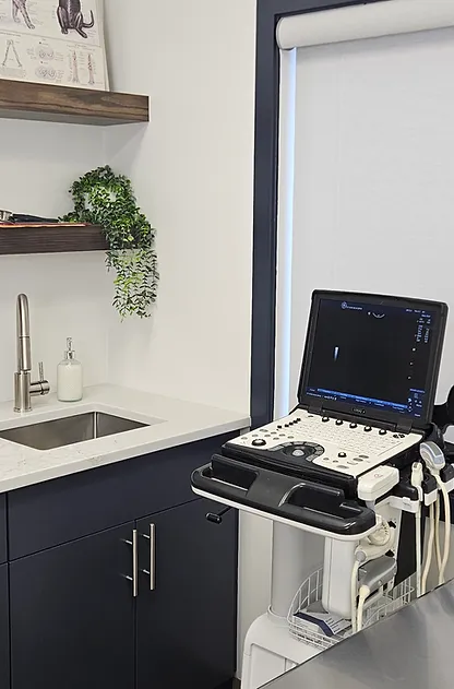 Examination room at Blue Cross Animal Hospital