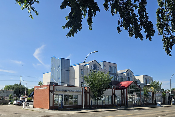 Blue Cross Animal Hospital today, at the corner of 111 Avenue in Edmonton