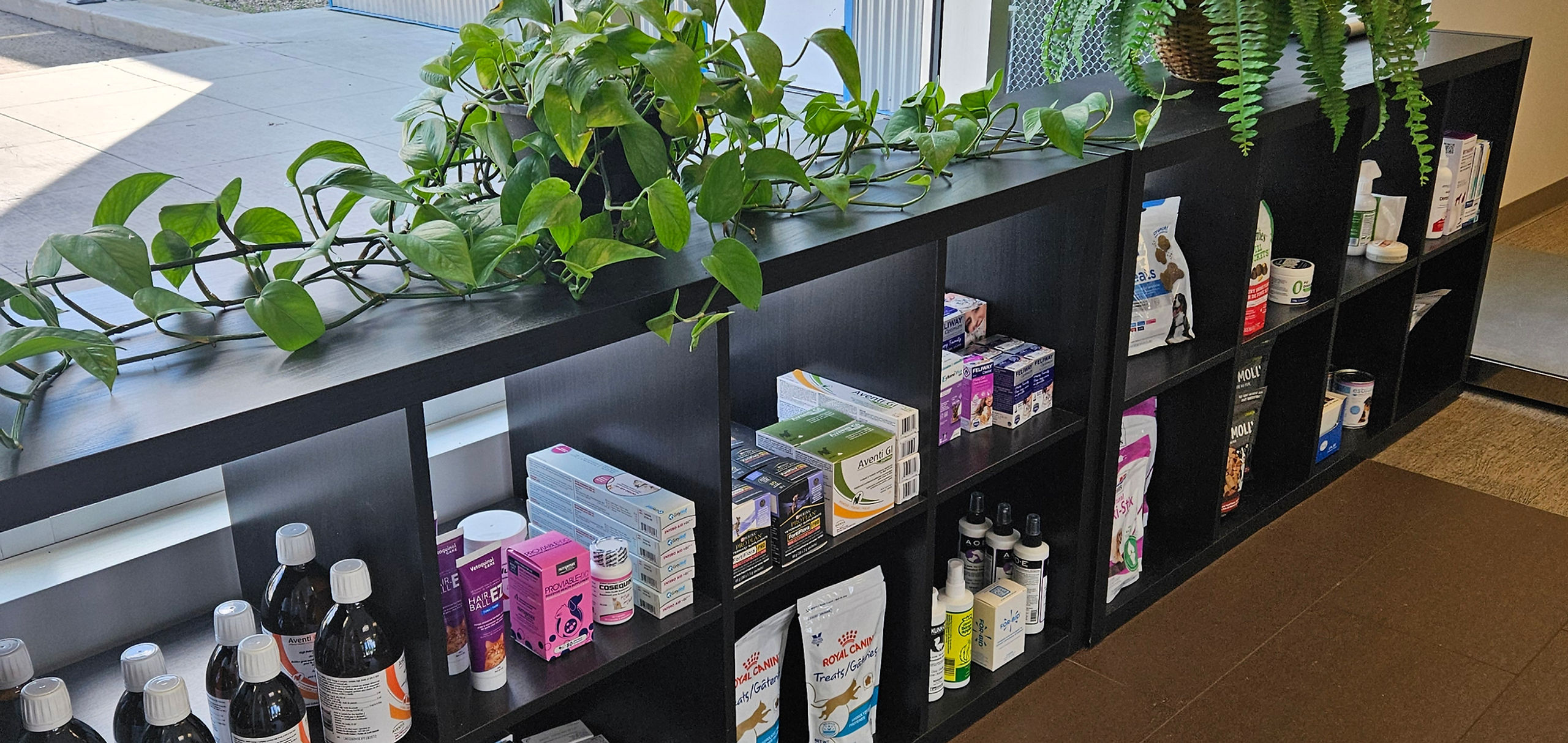 Nutrition and wellness products at Blue Cross Animal Hospital
